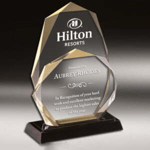 MG007 Crystal Award