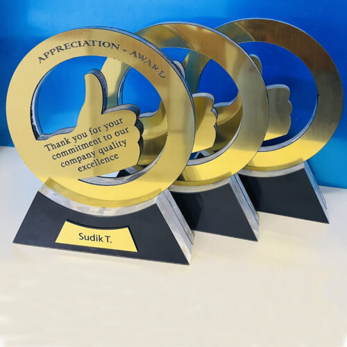 MAX002-Thumb-up Acrylic Award